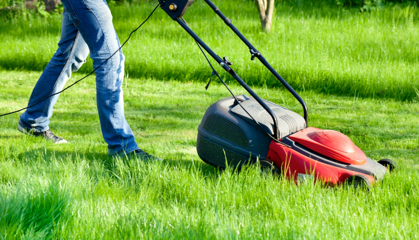 Man cutting his grass with his red corded lawnmower in a pair of blue jeans