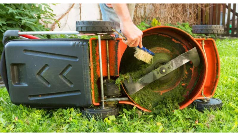 Cleaning your Gardening equipment