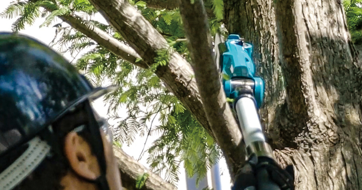 Makita DUA200RT 18v LXT 200mm Cordless Pole Saw Kit